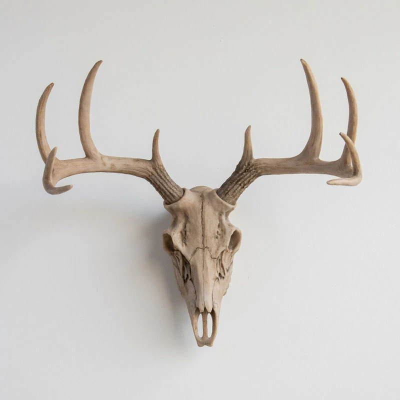 Discount ๐ Near And Deer Deer Skull Wall Mount, Realistic ๐คฉ 3 Discount ๐ Near And Deer Deer Skull Wall Mount, Realistic ๐คฉ
