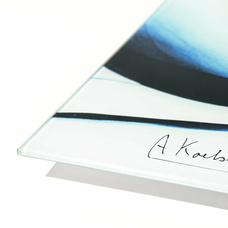 Wholesale ⌛ Empire Art Direct Blue Magnolia X-Ray Flower Wall Art Frameless Free Floating Tempered Glass Panel ⌛ 4 Wholesale ⌛ Empire Art Direct Blue Magnolia X-Ray Flower Wall Art Frameless Free Floating Tempered Glass Panel ⌛ - Image 2