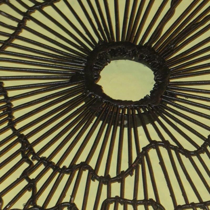 Brand new ๐คฉ Dr. Livingstone I Presume Modern 40" Wire Flower Wall Art, Contemporary Metal Sculpture โ 6 Brand new ๐คฉ Dr. Livingstone I Presume Modern 40" Wire Flower Wall Art, Contemporary Metal Sculpture โ - Image 4