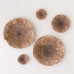 Buy ❤️ Phillips Collection Lotus Wall Art, Copper/Black, Small 😉 -Cheap wall decor Store 0eb1a1a70f2209a9 9752 w800 h800 b0 p0