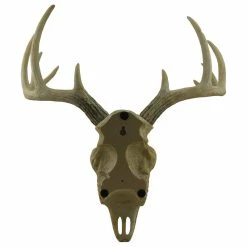 Budget 🥰 Zeckos Little Bucky Wall Mounted Faux Aged Finish 10 Point Antlers Deer Skull 15 Inch 🎉 -Cheap wall decor Store 1ad13b8807efc3e6 2958 w800 h800 b1 p0