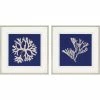 Cheap 🛒 Paragon Decor Paragon Naturals Coastal Seaweed On Navy I Pack Of 2 Wall Art 3506 👍 -Cheap wall decor Store 2191f8eb04e4f597 9343 w800 h800 b1 p0
