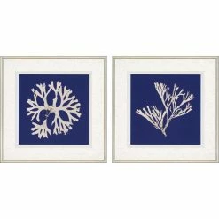 Cheap 🛒 Paragon Decor Paragon Naturals Coastal Seaweed On Navy I Pack Of 2 Wall Art 3506 👍
