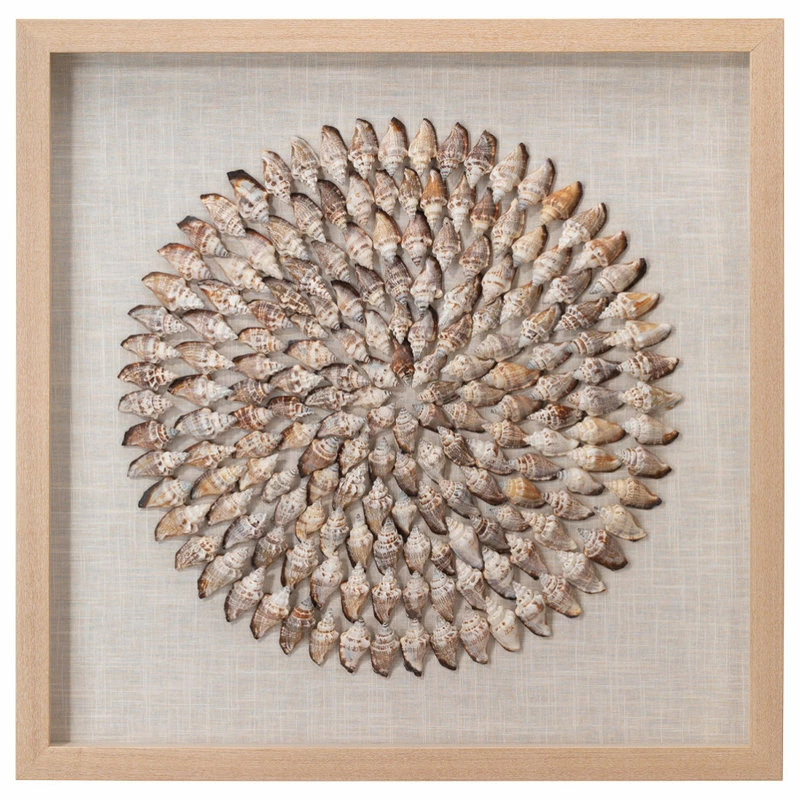 Coupon 🥰 Jamie Young Company Coastal Style Beige Conch Shells Riviera Framed Wall Art 🤩 3 Coupon 🥰 Jamie Young Company Coastal Style Beige Conch Shells Riviera Framed Wall Art 🤩