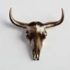 Best reviews of ๐ฅ Near And Deer Bison Skull Head Wall Mount, Bronze ๐ 1 Best reviews of ๐ฅ Near And Deer Bison Skull Head Wall Mount, Bronze ๐ -Cheap wall decor Store 33c1a70300c2b735 7215 w800 h800 b0 p0
