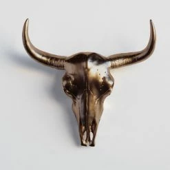 Best reviews of 🔥 Near And Deer Bison Skull Head Wall Mount, Bronze 👍