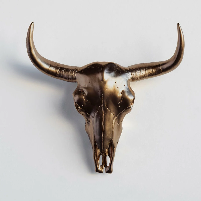 Best reviews of π₯ Near And Deer Bison Skull Head Wall Mount, Bronze π 3 Best reviews of π₯ Near And Deer Bison Skull Head Wall Mount, Bronze π