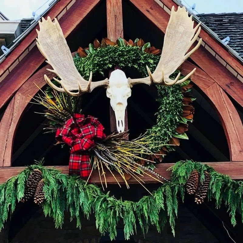 Top 10 ✔️ Cast Horn Designs European Alaskan Moose Mount ⌛ 7 Top 10 ✔️ Cast Horn Designs European Alaskan Moose Mount ⌛ - Image 5