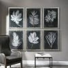 Best reviews of β€οΈ Uttermost Foliage Framed Prints, Set Of 6 π 1 Best reviews of β€οΈ Uttermost Foliage Framed Prints, Set Of 6 π -Cheap wall decor Store 3c51a6220ea3224f 2640 w800 h800 b0 p0