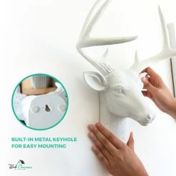 Brand new 🎁 Wall Charmers Virginia Faux Mini Deer Head, White/White 💯 -Cheap wall decor Store 3df178540dd2b81d 3025 w800 h800 b0 p0