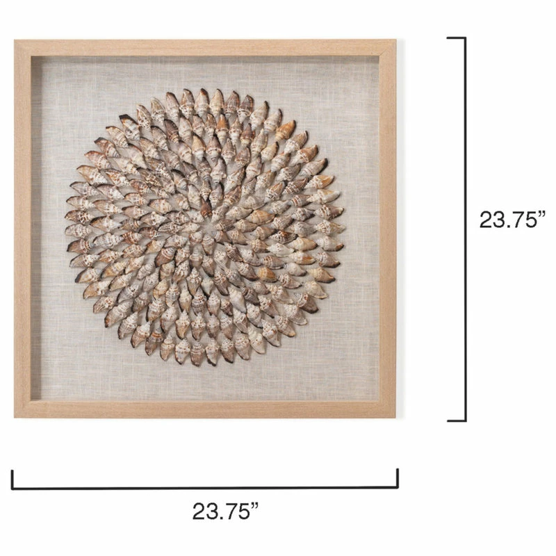 Coupon 🥰 Jamie Young Company Coastal Style Beige Conch Shells Riviera Framed Wall Art 🤩 5 Coupon 🥰 Jamie Young Company Coastal Style Beige Conch Shells Riviera Framed Wall Art 🤩 - Image 3