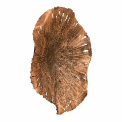 Buy ❤️ Phillips Collection Lotus Wall Art, Copper/Black, Small 😉 -Cheap wall decor Store 42612cee0f2209b4 9752 w800 h800 b1 p0