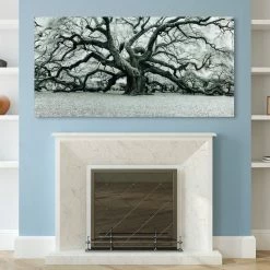 Brand new 💯 Empire Art Direct "The Angel Oak" Wall Art Frameless Free Floating Tempered Art Glass 72"x36" 😉 -Cheap wall decor Store 4741a10a0e8ecfd4 7069 w800 h800 b0 p0