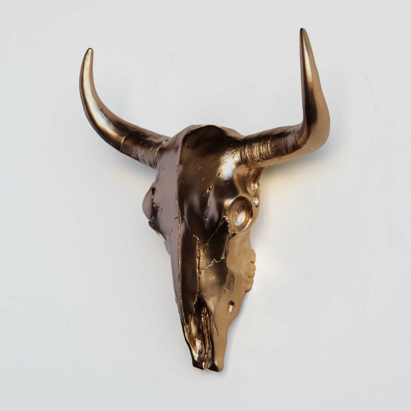 Best reviews of π₯ Near And Deer Bison Skull Head Wall Mount, Bronze π 5 Best reviews of π₯ Near And Deer Bison Skull Head Wall Mount, Bronze π - Image 3
