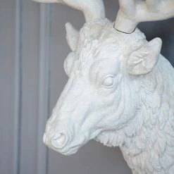 Best Sale π A&B Home Darby Deer Head Wall Sculpture 26"X13"X32" π₯ 9 Best Sale π A&B Home Darby Deer Head Wall Sculpture 26"X13"X32" π₯ -Cheap wall decor Store 58310f4d02b25c0f 4808 w800 h800 b0 p0