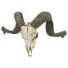 Best Sale 🌟 Design Toscano Corsican Resin Ram Skull And Horns Wall Trophy 🔥 -Cheap wall decor Store 5a5114bb0f513551 6882 w800 h800 b1 p0