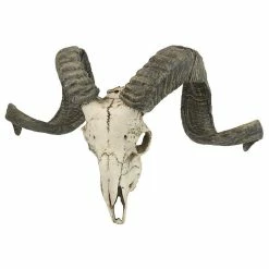 Best Sale 🌟 Design Toscano Corsican Resin Ram Skull And Horns Wall Trophy 🔥