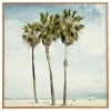 Flash Sale ๐ Deny Designs Bree Madden Venice Beach Palms Framed Wall Art ๐ 2 Flash Sale ๐ Deny Designs Bree Madden Venice Beach Palms Framed Wall Art ๐ -Cheap wall decor Store 5b71c848061eeeee 7304 w800 h800 b1 p0