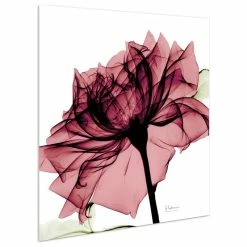 Brand new 😍 Empire Art Direct "Chianti Rose I" Flower Wall Art On Frameless Free Floating Tempered Glass Panel 😉 -Cheap wall decor Store 6d6125ee017bccd1 4569 w800 h800 b1 p0