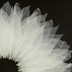 Best deal 👏 Brimfield & May White Leaf Natural Wall Decor Shadow Box With Silver Frame 🥰 -Cheap wall decor Store 6ef173570d780cf0 2262 w800 h800 b0 p0