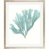Cheap ⭐ Art Virtuoso Blue Seaweeds, Medium Framed Art Print, 25"x29.75" 😉 -Cheap wall decor Store 70c1e24b0936cf4a 6086 w800 h800 b1 p0