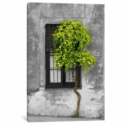 Best Sale ⭐ ICanvas "Tree In Front Of Window Green Pop Color Pop" By Panoramic Images, 26x18x0.75" ⌛
