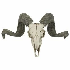 Best Sale 🌟 Design Toscano Corsican Resin Ram Skull And Horns Wall Trophy 🔥 -Cheap wall decor Store 79817f040f513557 6882 w800 h800 b1 p0