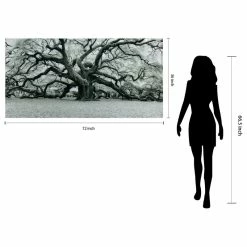 Brand new 💯 Empire Art Direct "The Angel Oak" Wall Art Frameless Free Floating Tempered Art Glass 72"x36" 😉 -Cheap wall decor Store 9c31d8df0e8ecfe8 7069 w800 h800 b1 p0