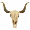 Coupon 🎁 Zentique, Inc. Bull Skull Wall Decor ✔️ -Cheap wall decor Store a3e1893a0bbd0afa 7345 w800 h800 b1 p0