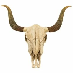 Coupon 🎁 Zentique, Inc. Bull Skull Wall Decor ✔️