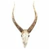 Outlet 🔔 Zentique, Inc. Goat Skull Wall Decor ✔️ -Cheap wall decor Store a8118e9e0643bf26 7311 w800 h800 b1 p0
