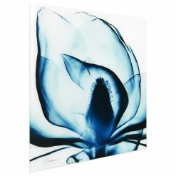 Wholesale ⌛ Empire Art Direct Blue Magnolia X-Ray Flower Wall Art Frameless Free Floating Tempered Glass Panel ⌛ 18 Wholesale ⌛ Empire Art Direct Blue Magnolia X-Ray Flower Wall Art Frameless Free Floating Tempered Glass Panel ⌛ -Cheap wall decor Store aa713a760163de8e 5233 w800 h800 b1 p0