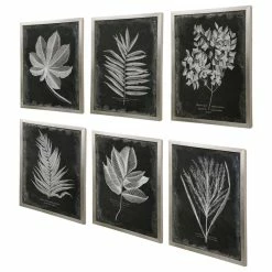 Best reviews of ❤️ Uttermost Foliage Framed Prints, Set Of 6 😍 -Cheap wall decor Store b011e6d00ea32257 5890 w800 h800 b1 p0