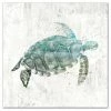 Best Pirce 🔥 DDCG Turquoise Sea Turtle Canvas Wall Art, 24"x24" ✔️ -Cheap wall decor Store b0b1bc72096f6d50 8389 w800 h800 b1 p0