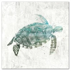 Best Pirce 🔥 DDCG Turquoise Sea Turtle Canvas Wall Art, 24"x24" ✔️
