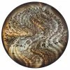 Brand new β¨ Next Innovations Tree Of Life Amber Round Wall Art, 16" π 1 Brand new β¨ Next Innovations Tree Of Life Amber Round Wall Art, 16" π -Cheap wall decor Store b6613fc00f5f8787 5850 w800 h800 b1 p0