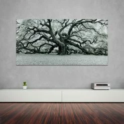 Brand new 💯 Empire Art Direct "The Angel Oak" Wall Art Frameless Free Floating Tempered Art Glass 72"x36" 😉 -Cheap wall decor Store b9118f680be1b547 7069 w800 h800 b0 p0