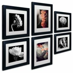Buy 👏 Trademark Fine Art Floral Gallery Wall Collection' Multi-Panel Matted Framed Canvas Art Set 🌟 -Cheap wall decor Store bfd118fb05b8e331 3677 w800 h800 b1 p0