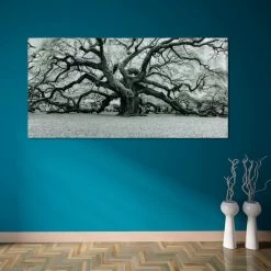 Brand new 💯 Empire Art Direct "The Angel Oak" Wall Art Frameless Free Floating Tempered Art Glass 72"x36" 😉 -Cheap wall decor Store c3419b580e8ecfcd 7069 w800 h800 b0 p0