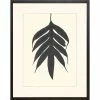 Brand new 😉 Art Virtuoso Black Ferns Framed Art Print ❤️ -Cheap wall decor Store c4a195e10a298aae 6977 w800 h800 b1 p0