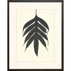 Brand new 😉 Art Virtuoso Black Ferns Framed Art Print ❤️