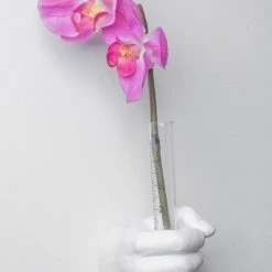 Cheap wall decor Store -Cheap wall decor Store d811bc7b0358907c 7185 w800 h800 b0 p0