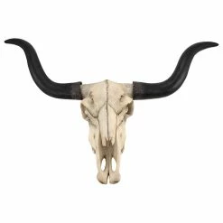 Best Sale 🎁 Zeckos Huge Long Horn Cow Skull Wall Hanging Longhorn Steer 🤩