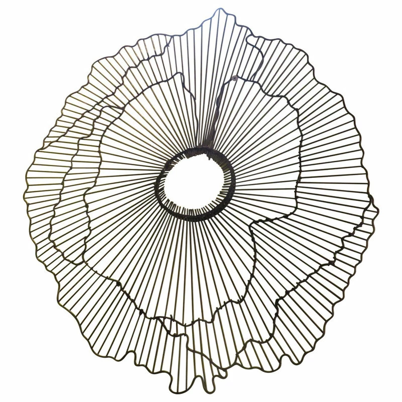 Brand new ๐คฉ Dr. Livingstone I Presume Modern 40" Wire Flower Wall Art, Contemporary Metal Sculpture โ 3 Brand new ๐คฉ Dr. Livingstone I Presume Modern 40" Wire Flower Wall Art, Contemporary Metal Sculpture โ
