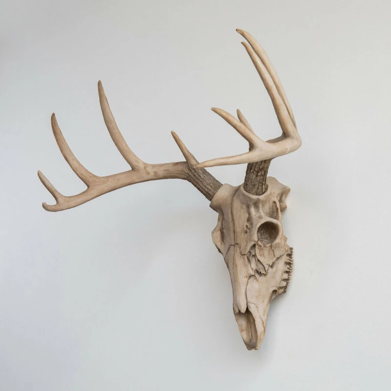 Discount ๐ Near And Deer Deer Skull Wall Mount, Realistic ๐คฉ 4 Discount ๐ Near And Deer Deer Skull Wall Mount, Realistic ๐คฉ - Image 2