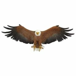 Brand new 🛒 Design Toscano Freedom's Pride Eagle Wall Sculpture ⭐ -Cheap wall decor Store f1710ed60b4ce93a 2574 w800 h800 b1 p0