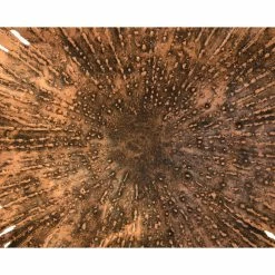 Buy ❤️ Phillips Collection Lotus Wall Art, Copper/Black, Small 😉 -Cheap wall decor Store f891bbd60f2209a8 9752 w800 h800 b0 p0