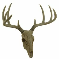 Budget 🥰 Zeckos Little Bucky Wall Mounted Faux Aged Finish 10 Point Antlers Deer Skull 15 Inch 🎉