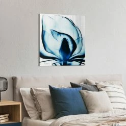 Wholesale ⌛ Empire Art Direct Blue Magnolia X-Ray Flower Wall Art Frameless Free Floating Tempered Glass Panel ⌛ 22 Wholesale ⌛ Empire Art Direct Blue Magnolia X-Ray Flower Wall Art Frameless Free Floating Tempered Glass Panel ⌛ -Cheap wall decor Store fcf127fb0163de97 5233 w800 h800 b0 p0