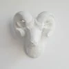 Promo ⌛ Near And Deer Resin Ram Head Wall Mount, White 🥰 -Cheap wall decor Store fd5188bf00667d9d 7048 w800 h800 b0 p0